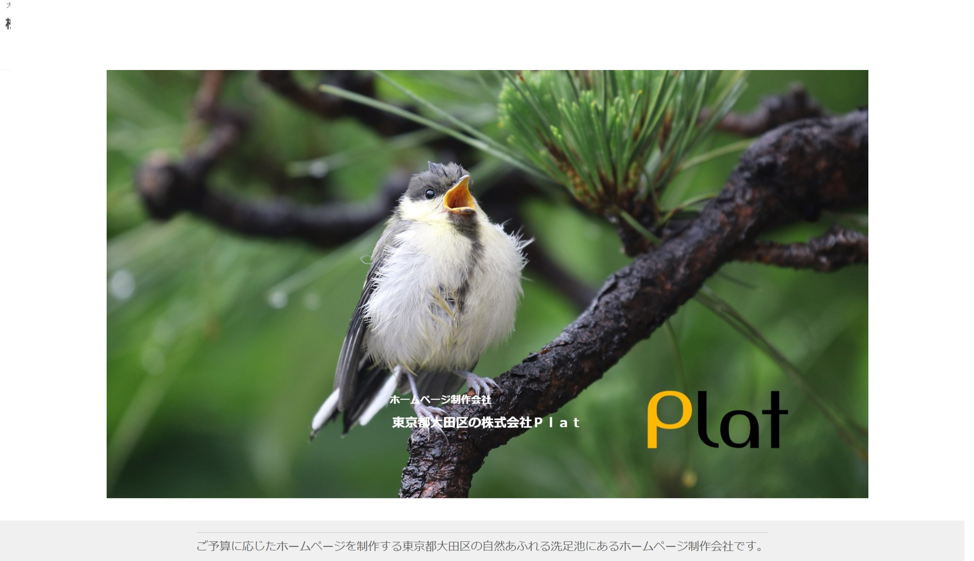 株式会社Plat
