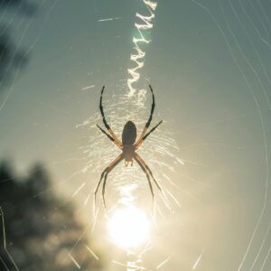 【webdesign】 webdesign スマホサイト 作成 失敗しない7つのコツ