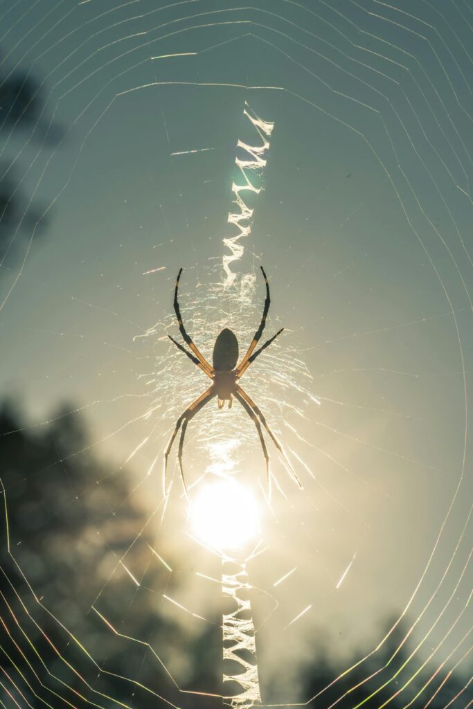 【webdesign】 webdesign スマホサイト 作成 失敗しない7つのコツ