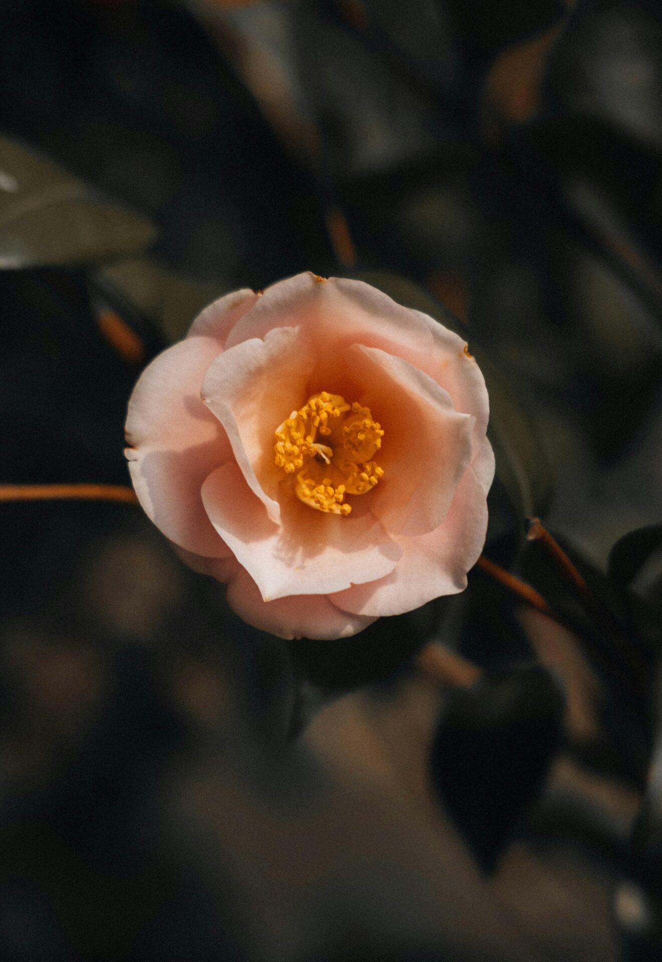 業種別に見るスマホサイトデザインのポイント