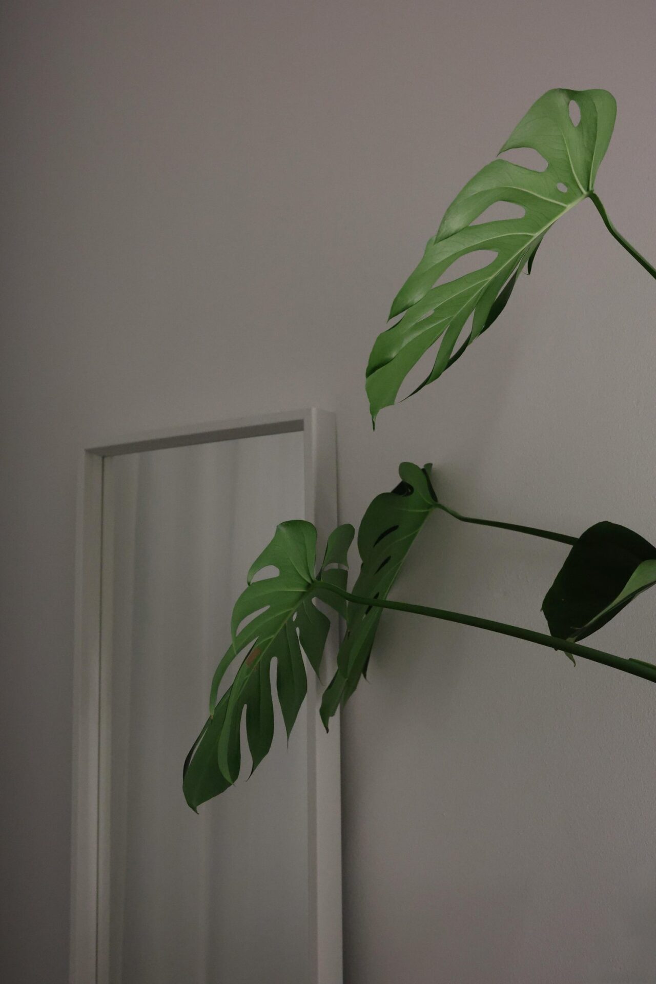 レスポンシブWebデザインを正しく選ぶ