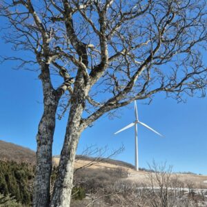 【webdesign】 webdesign ホームページ 更新で損しない5つの新常識