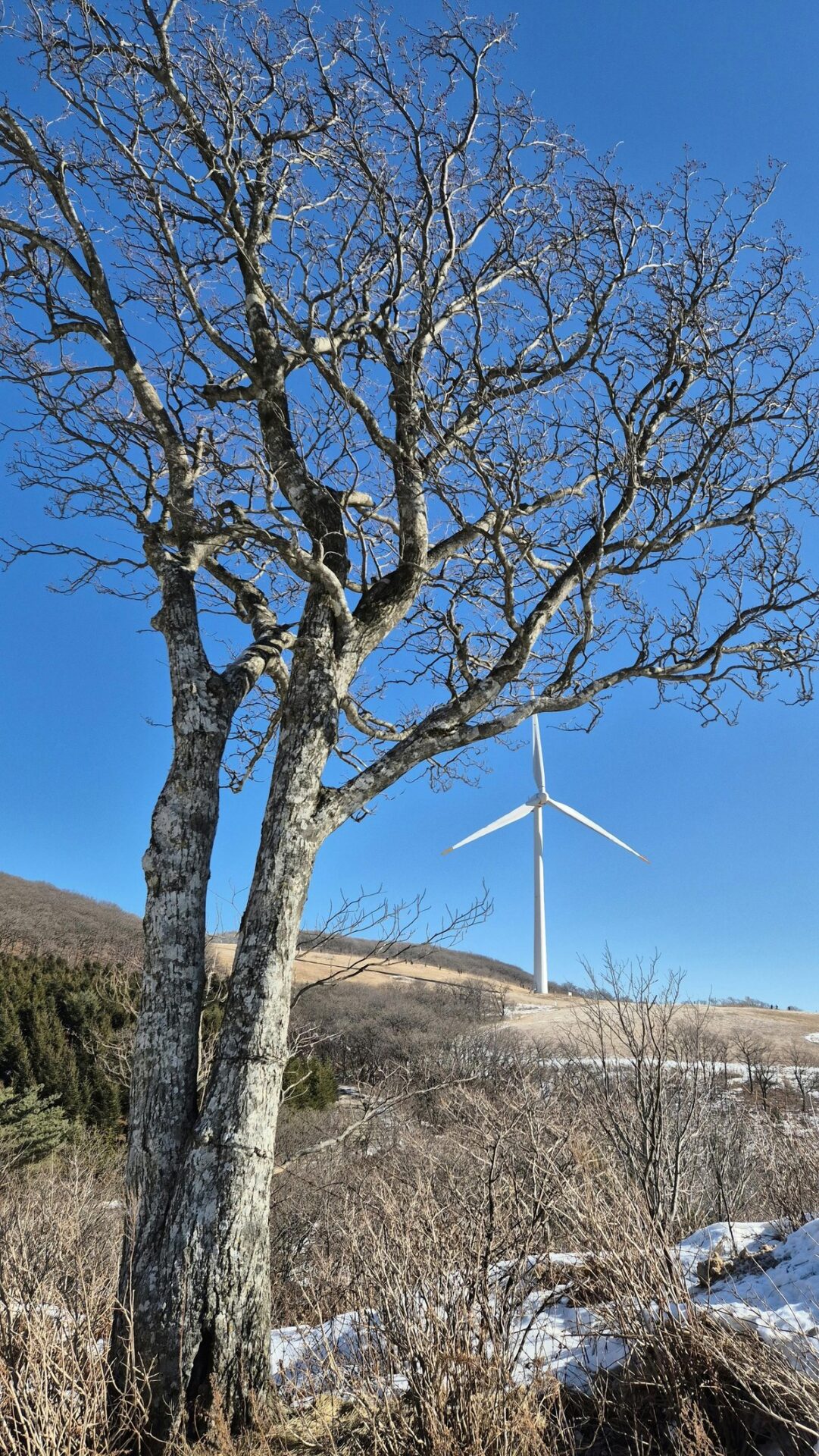 【webdesign】 webdesign ホームページ 更新で損しない5つの新常識