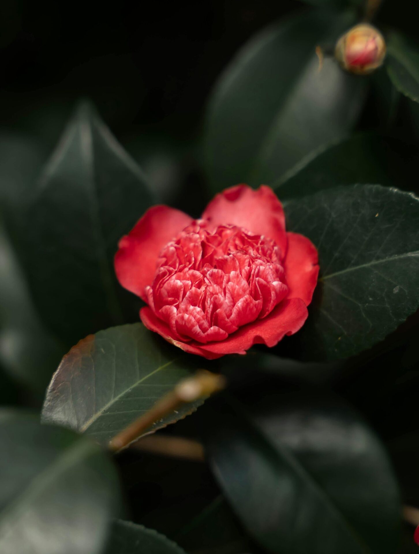 ロゴやバナーなど周辺デザインの費用相場