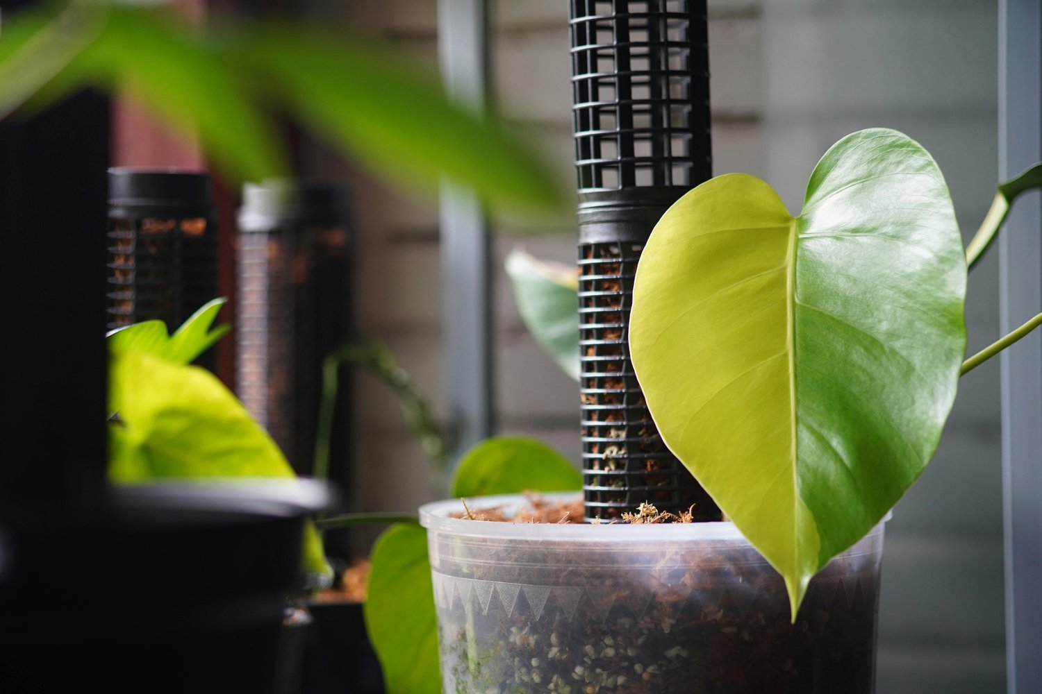 ホームページ更新でつまずきやすいポイント