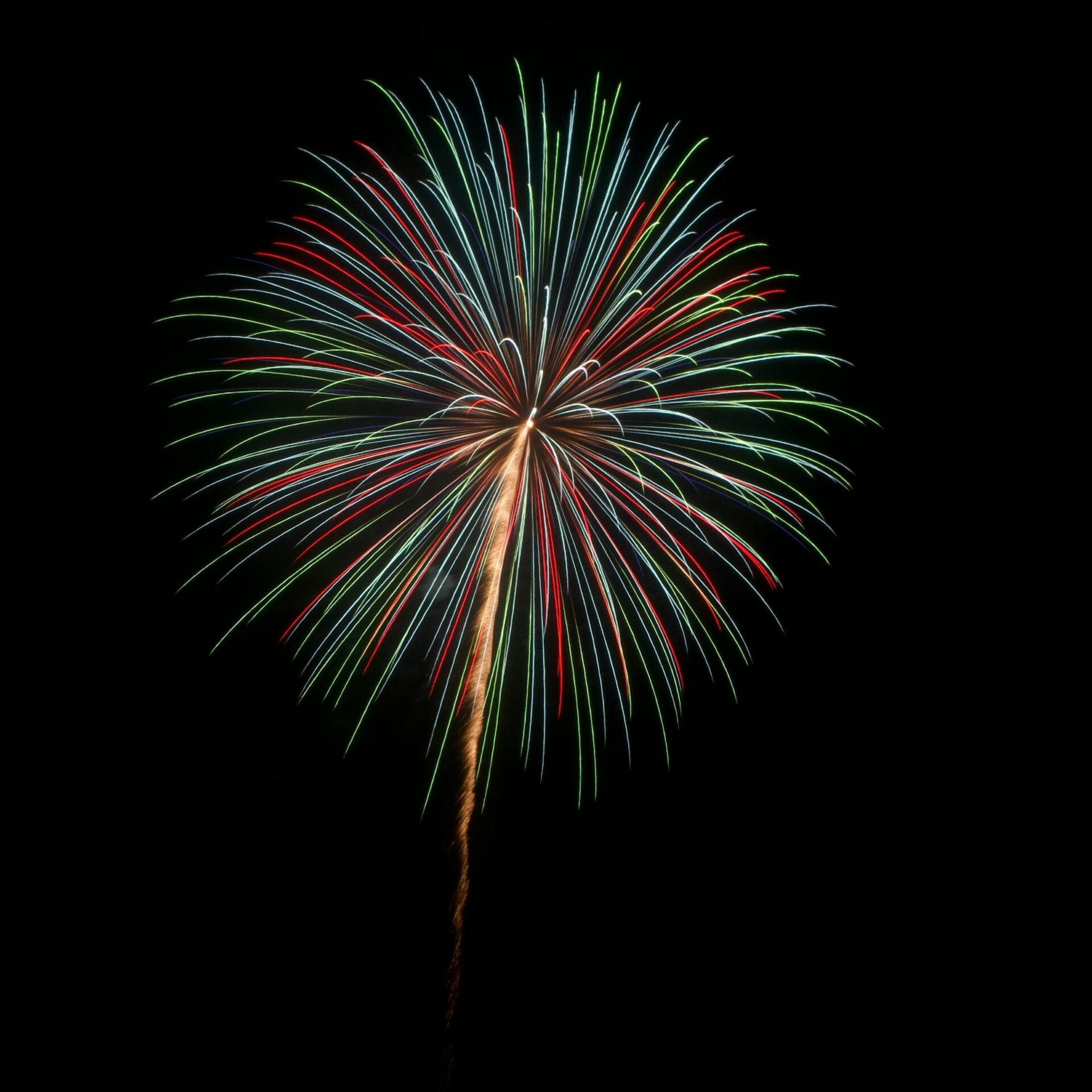 更新費用は年間コストで比較する